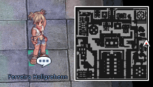 Holgren, o Destruidor