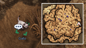 Gato em moc_fild20